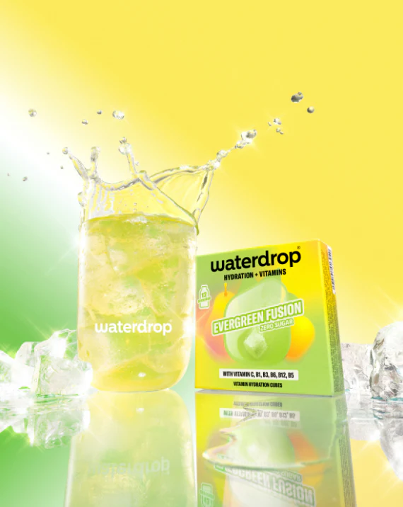 EVERGREEN FUSION - Image 2